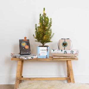 Hét perfecte Cadeau -  Mini kerstboom in gepersonaliseerde pot